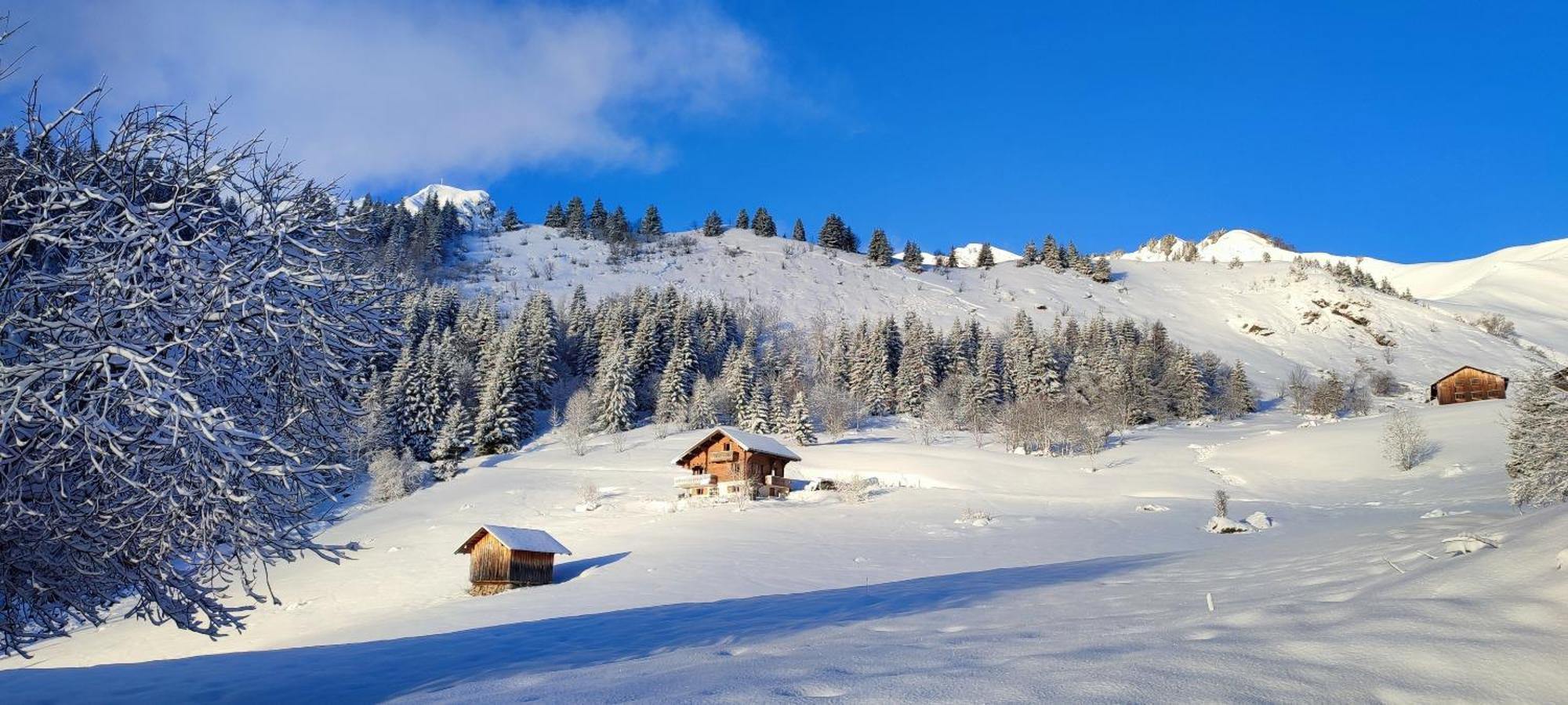 Le Taconet Otel Le Praz de Lys Dış mekan fotoğraf