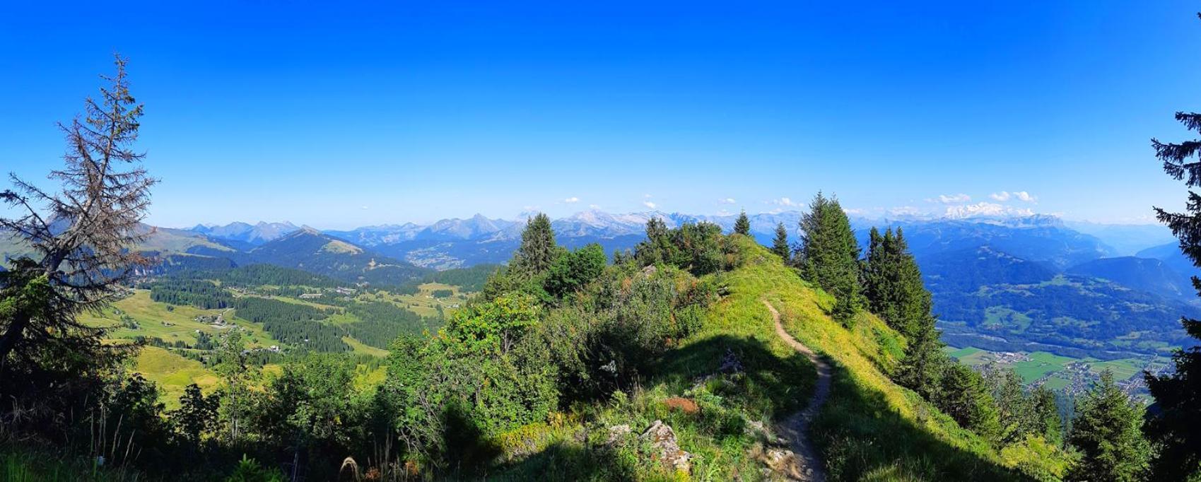 Le Taconet Otel Le Praz de Lys Dış mekan fotoğraf